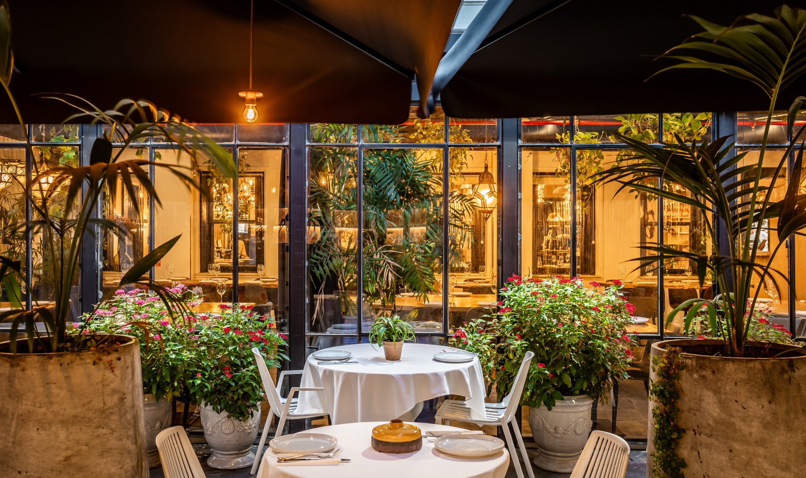 מסעדת הגן בלילה.