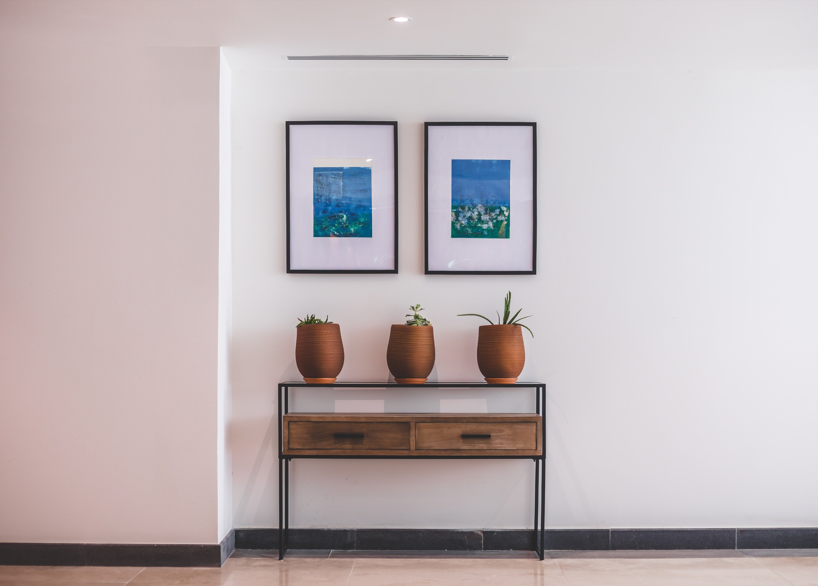 מסדרון שקט, שני הדפסים, שלושה עציצים.