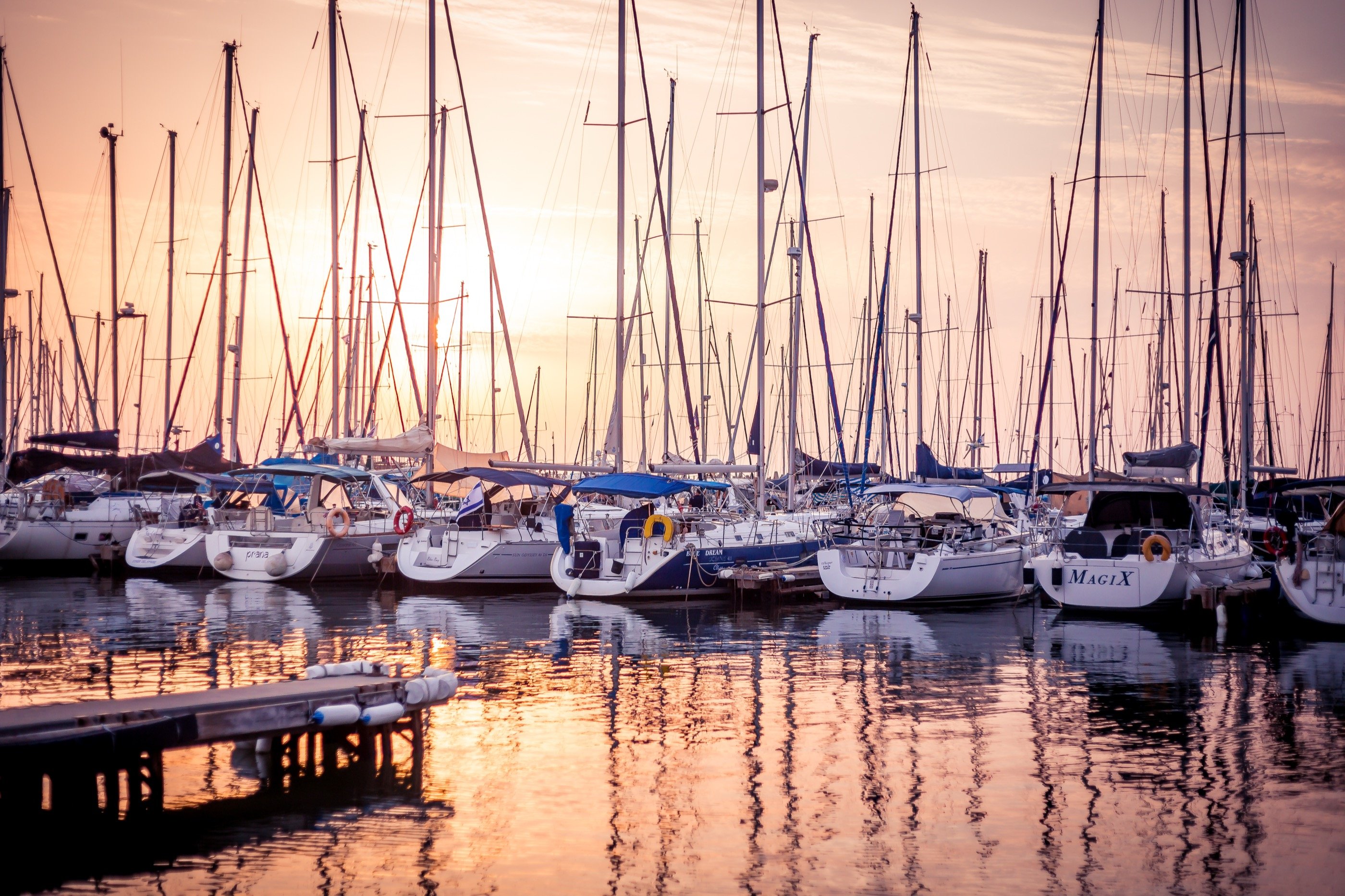Marina at sunset — a forest of masts.