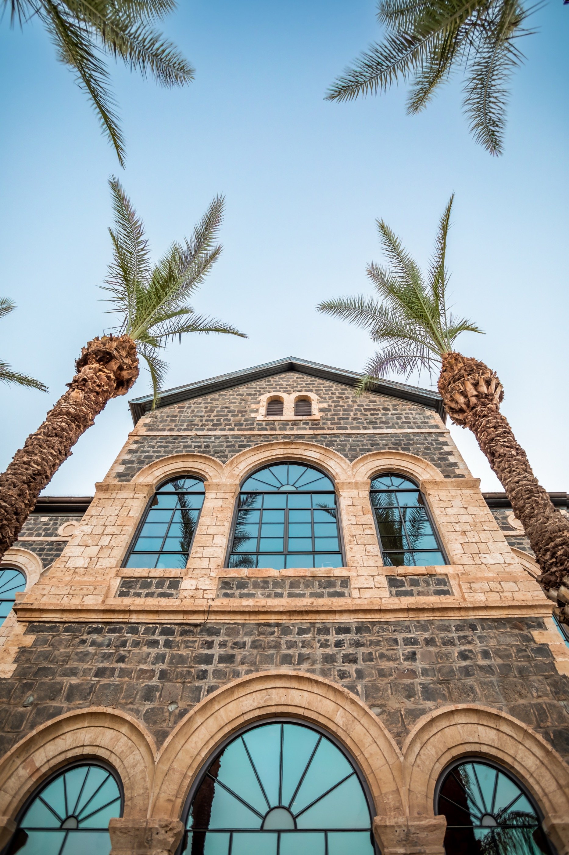 Basalt meets sandstone — the façade under two palms.