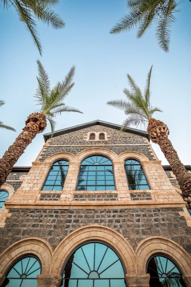 בזלת פוגשת אבן חול — החזית בין שני דקלים.